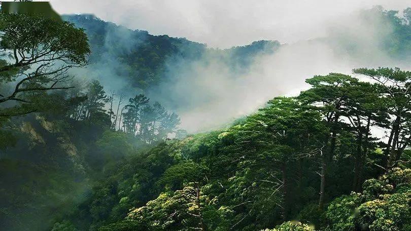 除鬼师