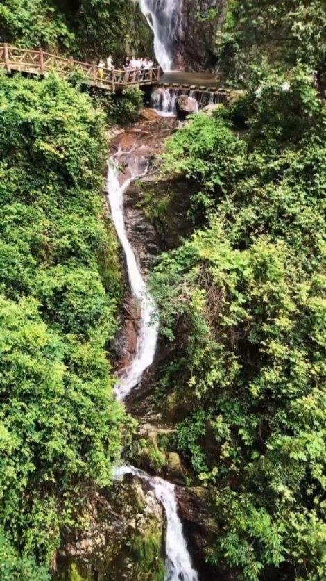小红帽的冒险之旅